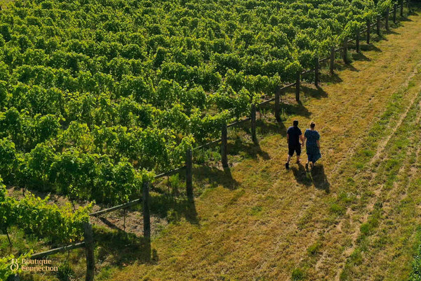 Maison Noire Boutique Vineyard Hawke's Bay