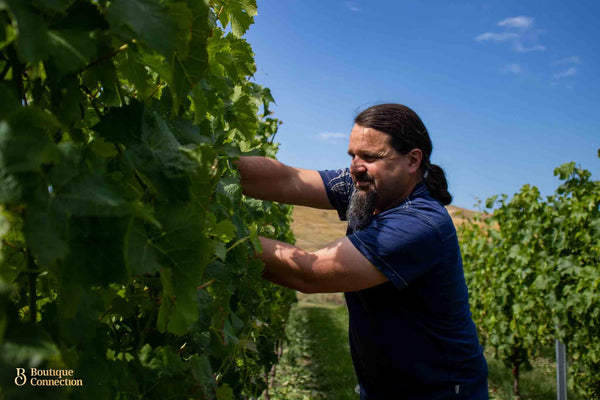 Maison Noire Winemaker - Guillaume Thomas 