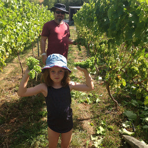 Maison Noire winemaker Guillaume Thomas and Daughter Lilly harvesting grapes