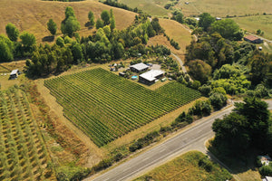 Maison Noire Vineyard - View from above