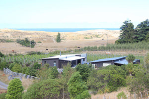 The house and home block vineyard at Maison Noire - looking out to sea in the distance